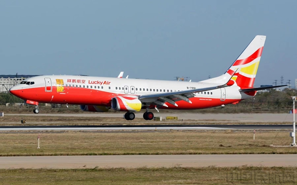 2024年春运祥鹏航空新开、加密多条航线万人次(图1)