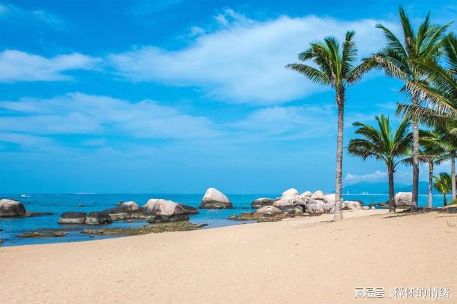 Im体育网站：海南人才户口具体申请流程及政策条件要求2024海南人才引进落户(图2)