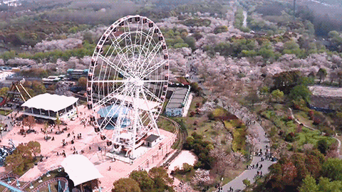 Im（中国体育）：2024宝山『佳运名邸』楼盘介绍@最新在售户型和价格@附佳运名邸预约通道!(图11)