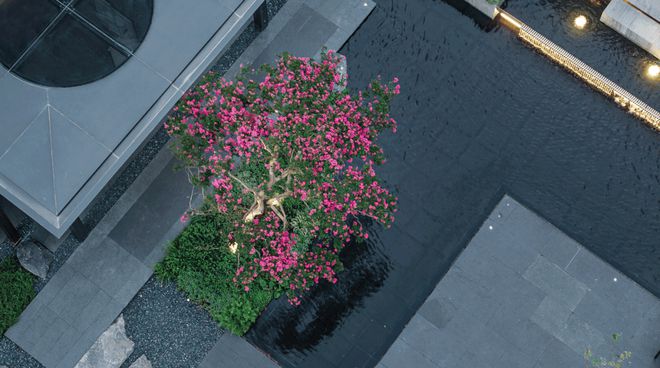 Im（中国体育）：海上瑧悦(保利海上瑧悦)2024网站保利售楼处户型图(图14)