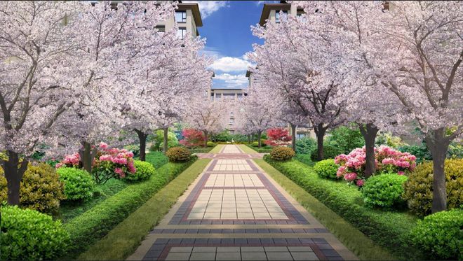 宝山佳运名邸售楼处2024最新楼盘资讯：均价398万㎡(图10)