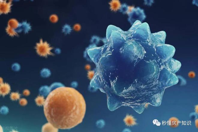 宝山佳运名邸售楼处2024最新楼盘资讯：均价398万㎡(图15)