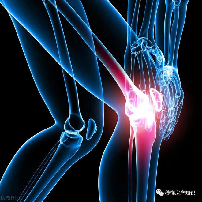 宝山佳运名邸售楼处2024最新楼盘资讯：均价398万㎡(图16)