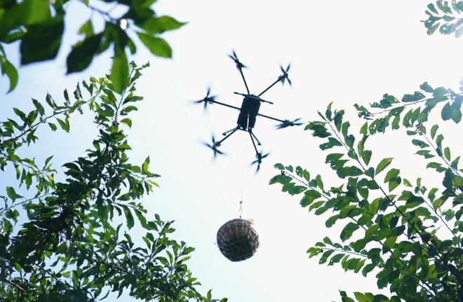 Im（中国体育）：科技向善丰翼无人机为重庆巫山受灾果农免费空运脆李(图1)