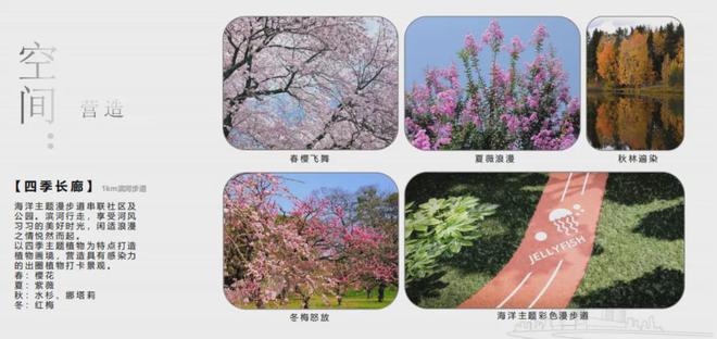 Im体育网站：『国贸虹桥璟上』2024网站-虹桥璟上楼盘详情-上海房天下(图4)