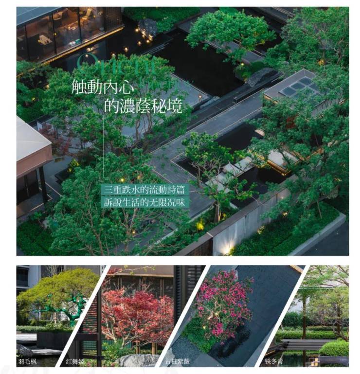 保利海上瑧悦-保利海上瑧悦售楼处(2024)楼盘详情-房价-户型-容积率-小区环境(图11)