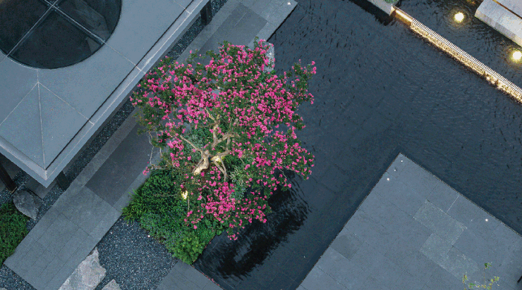 保利海上瑧悦-保利海上瑧悦售楼处(2024)楼盘详情-房价-户型-容积率-小区环境(图12)