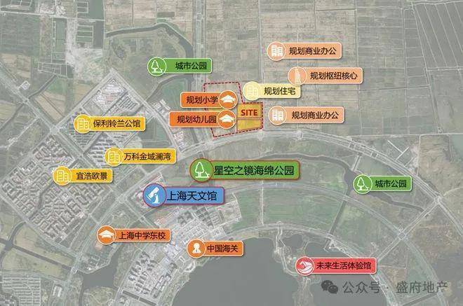 『上实望海』2024网站-上实望海@楼盘详情-上海房天下(图11)