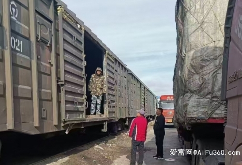 北京到新西兰空运物流公司2024（省市县+乡镇-闪+送）(图1)