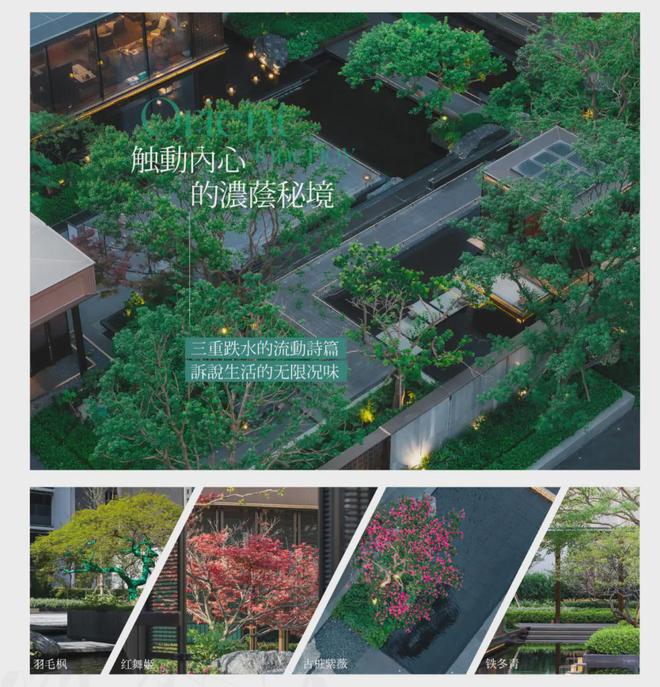 Im（中国体育）：保利海上瑧悦2024楼盘最新详情丨保利海上瑧悦楼盘地址丨项目配套(图13)