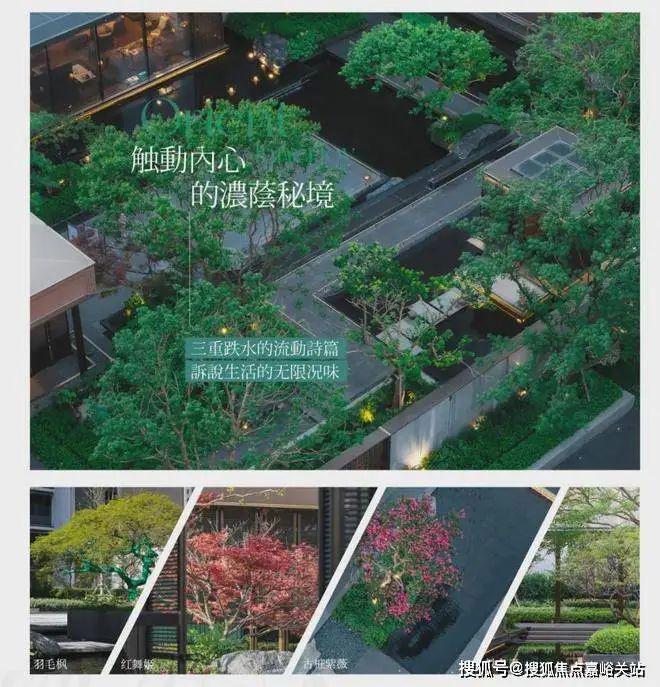 Im体育网站：保利海上瑧悦售楼处-保利海上瑧悦网站2024欢迎您_房价户型(图14)