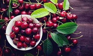 Im（中国体育）：多条航线海洋运输行业市场现状及未来发展分析(图7)