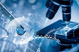 Im（中国体育）：红海商船遇袭全球海运堵塞加剧2024年海运市场发展趋势(图3)