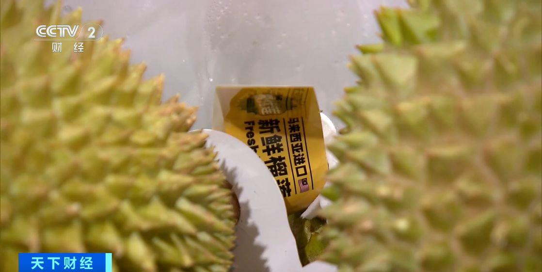 不出国门就能“尝鲜”！这里的榴莲36小时直达中国市场(图2)