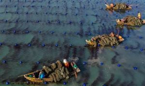 Im（中国体育）：2024航空物流产业发展分析报告：1月全球航空货运需求大幅增长(图5)