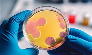 2024年海运产业发展现状及重点企业经营情况(图3)