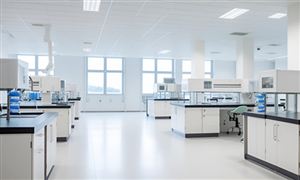 2024年海运产业发展现状及重点企业经营情况(图4)