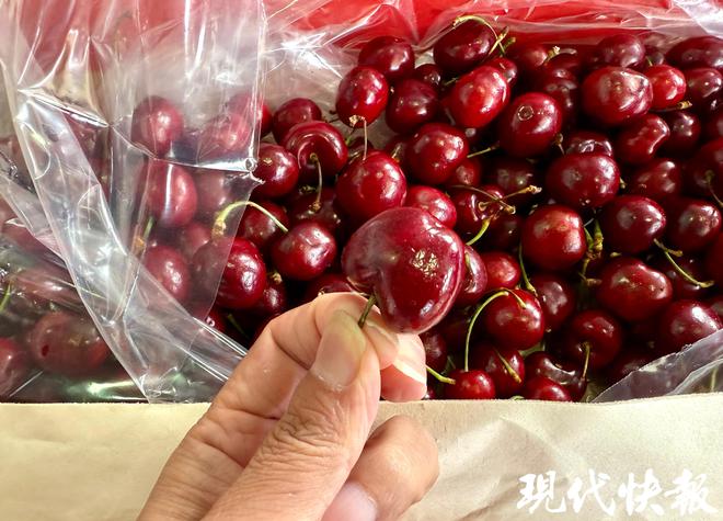 Im体育网站：智利空运车厘子来了！2024年首票进口车厘子格伦红登陆苏州(图2)