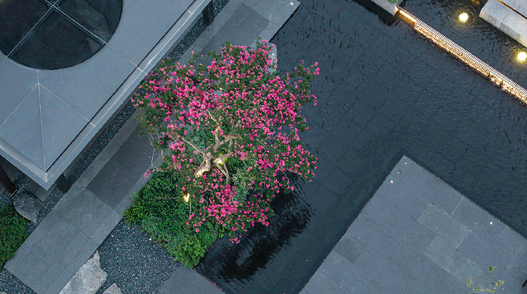 保利·海上瑧悦2024网站-保利·海上瑧悦欢迎您-上海房天下(图15)