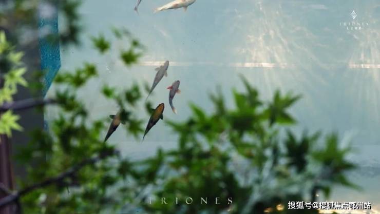 七星潮鸣-杭州七星潮鸣首页网站2024楼盘详情-房价-户型配套!(图10)