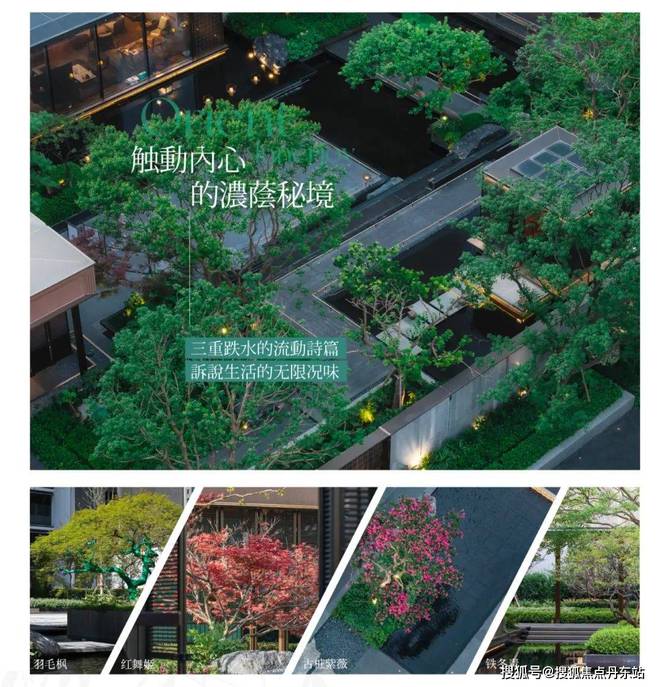 保利海上瑧悦（网站2024年最新发布）保利海上瑧悦内幕大揭秘(图21)