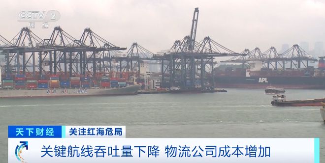 部分航线海运费上涨！(图3)