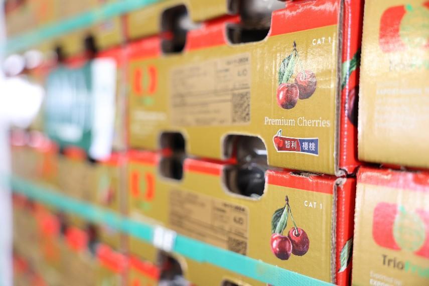 Im（中国体育）：成都迎来2024产季单批最大货量智利进口车厘子(图1)