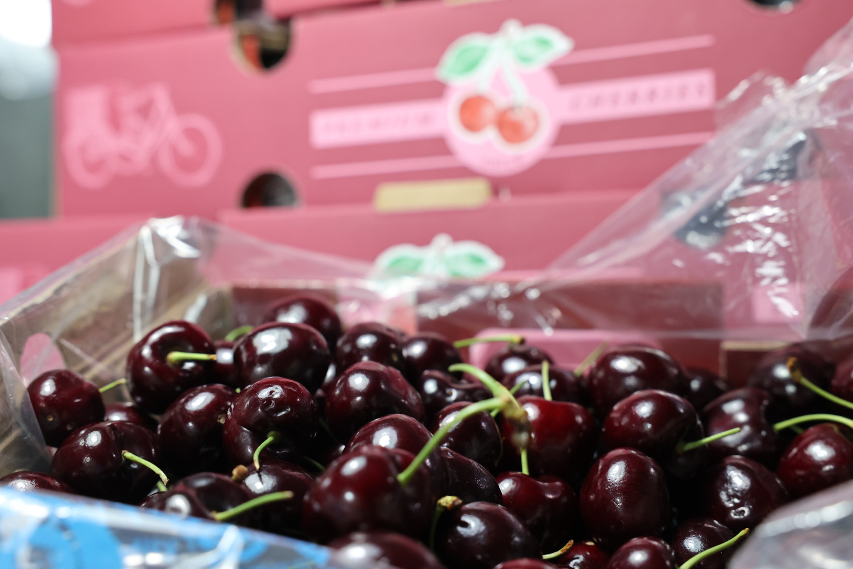 92吨抢“鲜”上市成都迎来2024产季单批最大货量智利进口车厘子(图4)