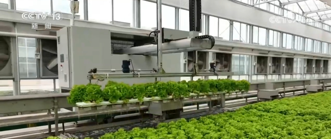 货畅其流！7298万、588%……“数”说中国经济蓬勃活力(图2)