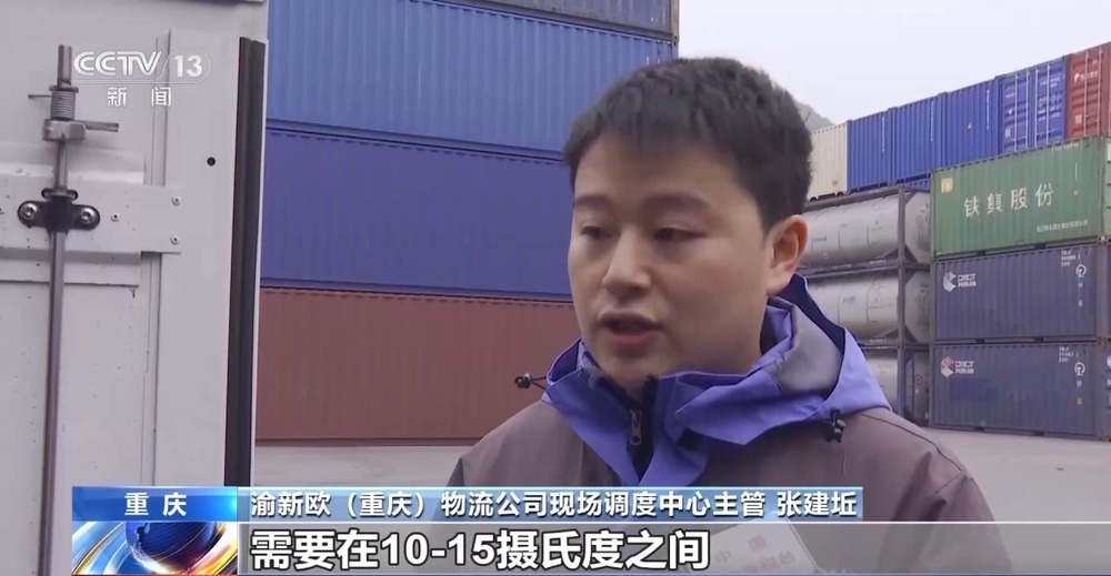 一线调研丨见证了中欧班列“10万+”的突破重庆是如何“一路领跑”的？(图4)