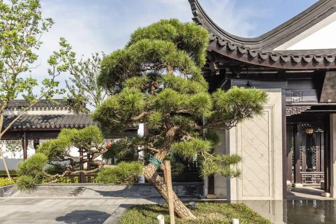 Im体育网站：璟云里(2024璟云里)网站-楼盘详情-户型配套(图11)