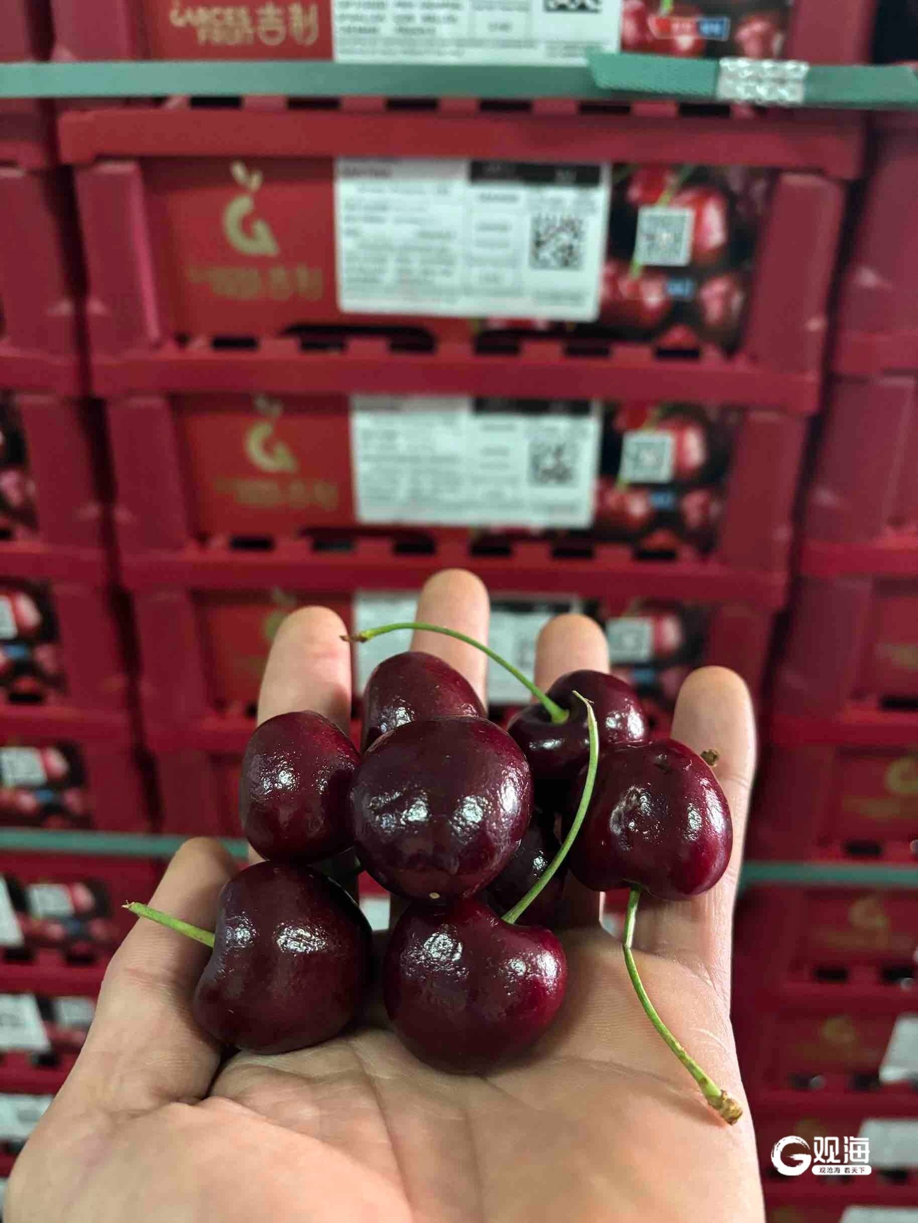 不到两小时抢购一空！今冬首船智利车厘子抵青价格有望同比最高下降20%(图1)