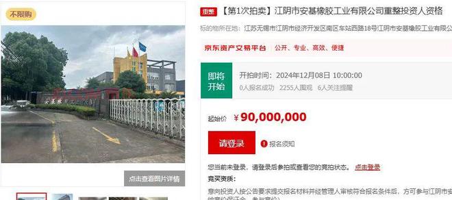 大洗牌！143家轮胎企业破产拍卖！(图9)