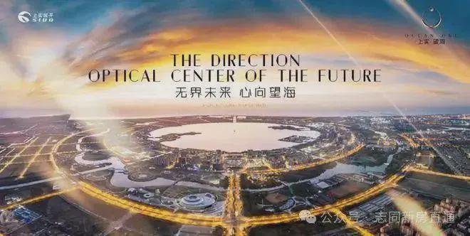 上实·望海2024网站-上实·望海楼盘详情-上海房天下(图1)