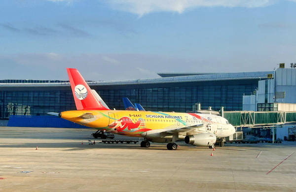 Im体育网站：IATA：全球航空客运量或创新高但飞机供应仍存问题(图2)