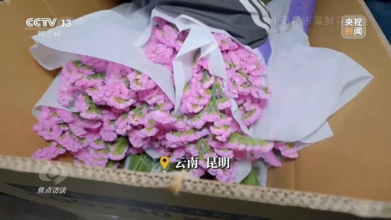 Im（中国体育）：焦点访谈丨生效实施三周年RCEP交出了怎样的“成绩单”？(图1)
