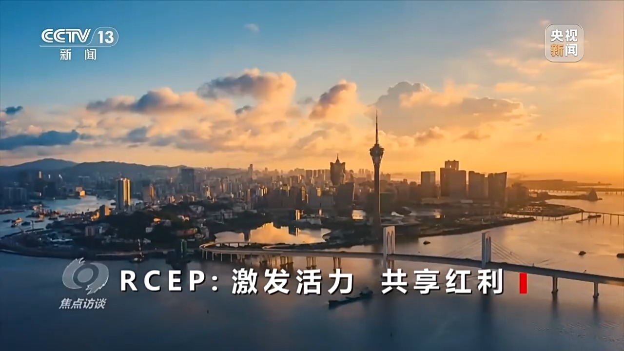 Im（中国体育）：焦点访谈丨生效实施三周年RCEP交出了怎样的“成绩单”？(图14)
