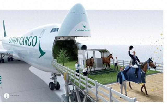 国泰货运空运70匹骏马赴港参加国际马术盛典(图1)