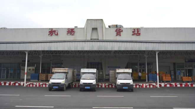 “南菜北运”！北海机场“零距离”空运服务更顺畅(图1)