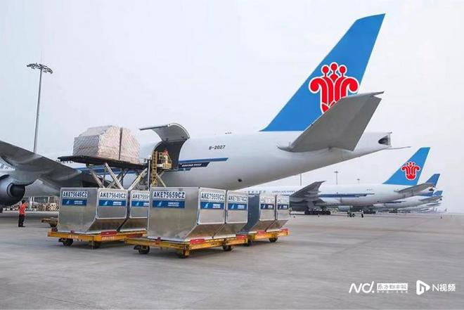 Im体育网站：难追东航物流、国货航资本步伐南航物流拟撤回上市申请(图1)