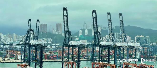 香港海运及港口业务如何重振雄风？找准数字化转型的关键抓手(图3)