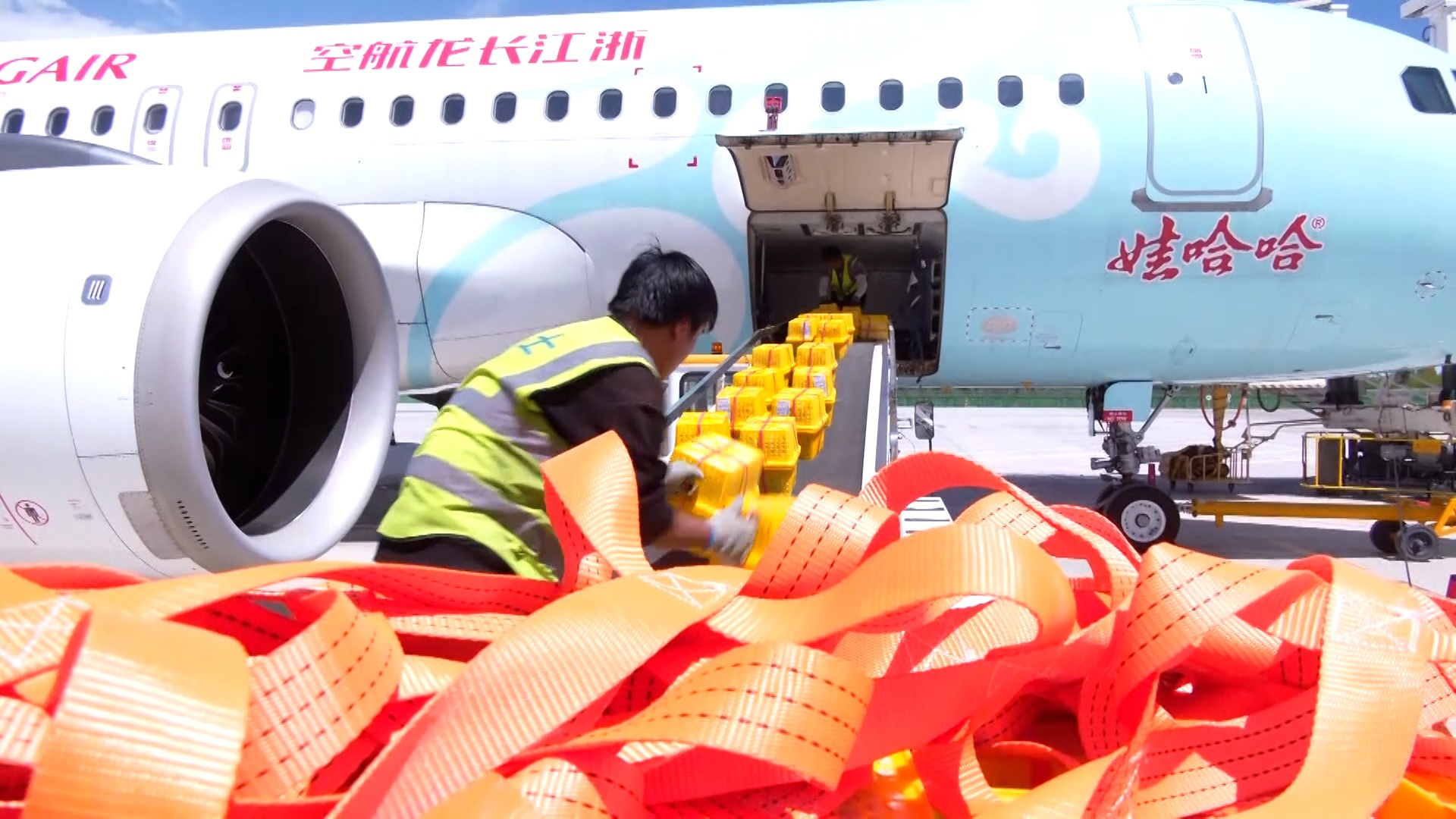 深疆异地货站正式揭牌打造航空物流新通道(图3)