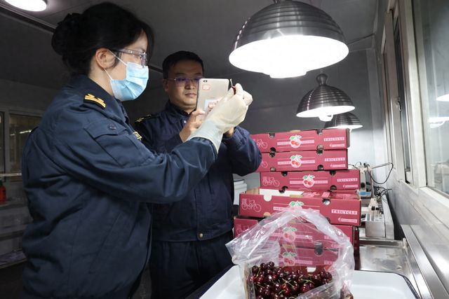 92吨！首批智利2024产季车厘子空运到成都了！(图1)