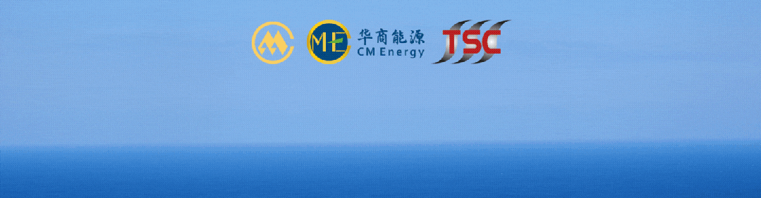 Im体育网站：中国最大船东4艘新船披露(图3)