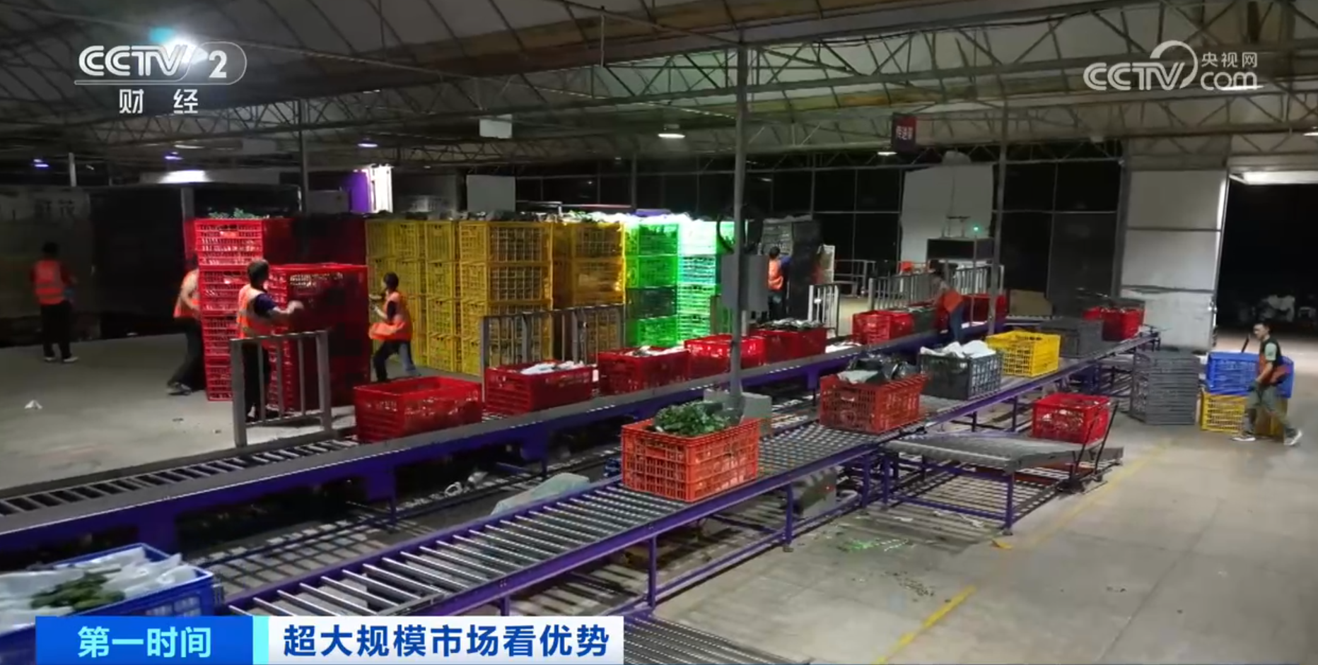 Im体育网站：跟着鲜花“跑”物流！大市场如何“织”出大网络？(图2)