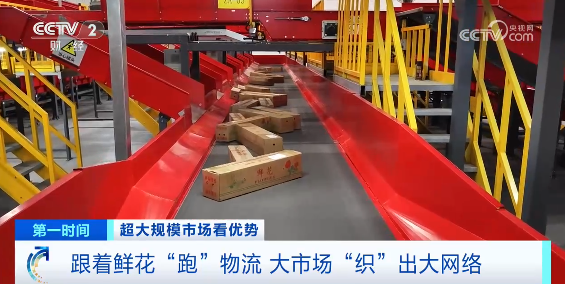 Im体育网站：跟着鲜花“跑”物流！大市场如何“织”出大网络？(图3)