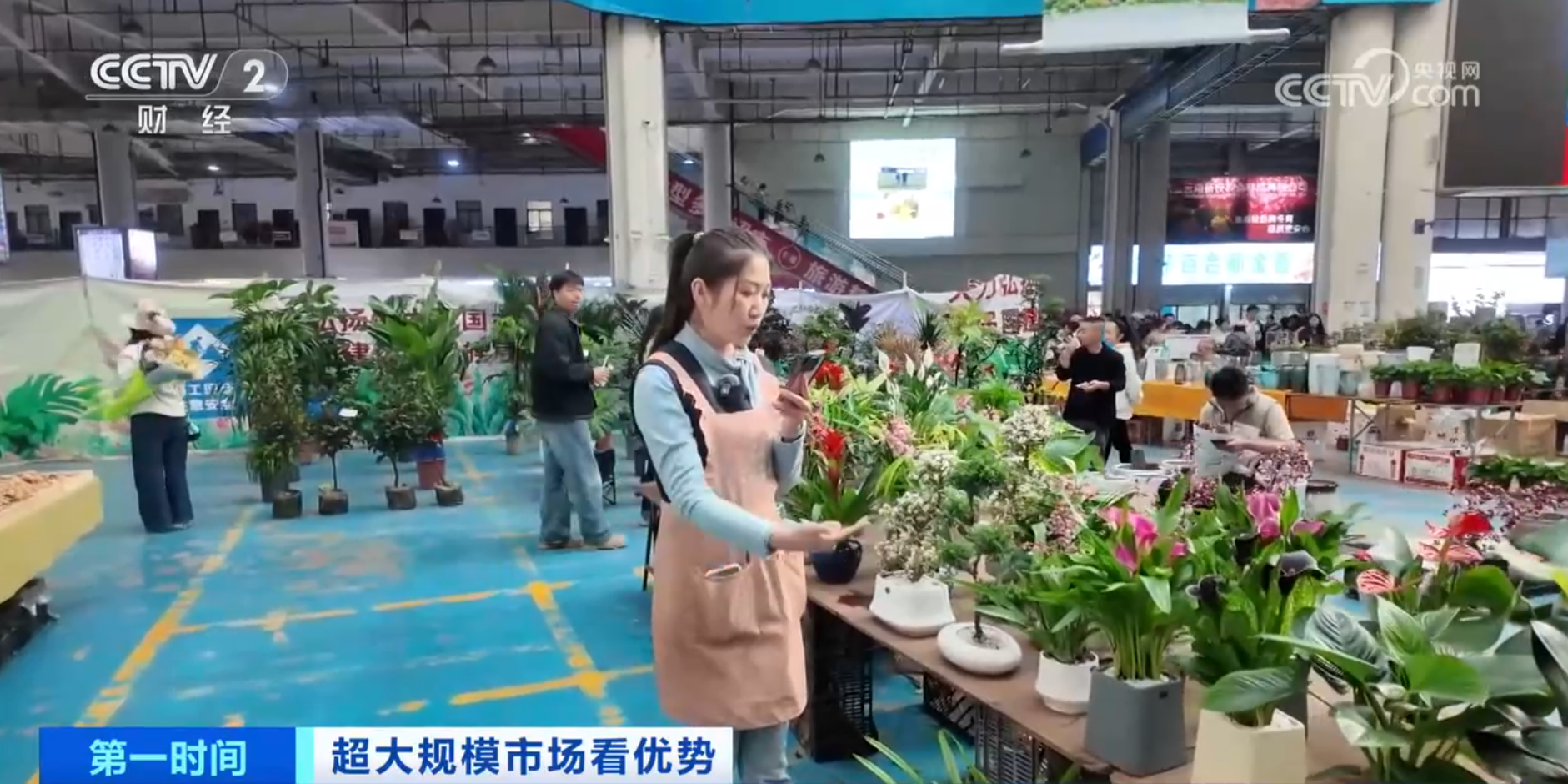 Im体育网站：跟着鲜花“跑”物流！大市场如何“织”出大网络？(图4)