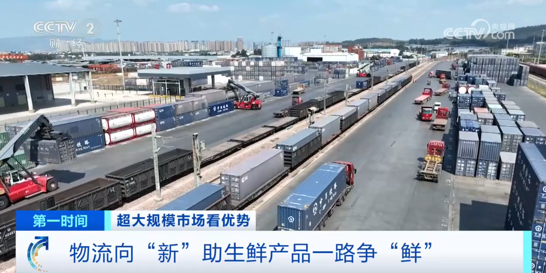 Im体育网站：跟着鲜花“跑”物流！大市场如何“织”出大网络？(图5)