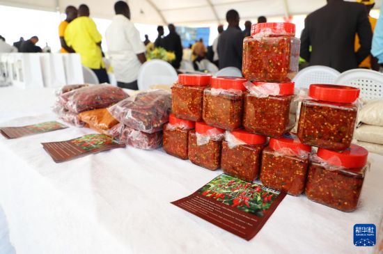 Im体育网站：乌干达首批输华干辣椒启运(图2)