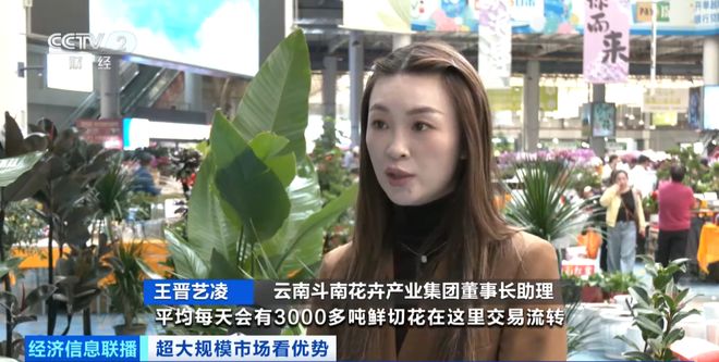 Im（中国体育）：世界之最！这个超大规模市场加速狂飙→(图9)